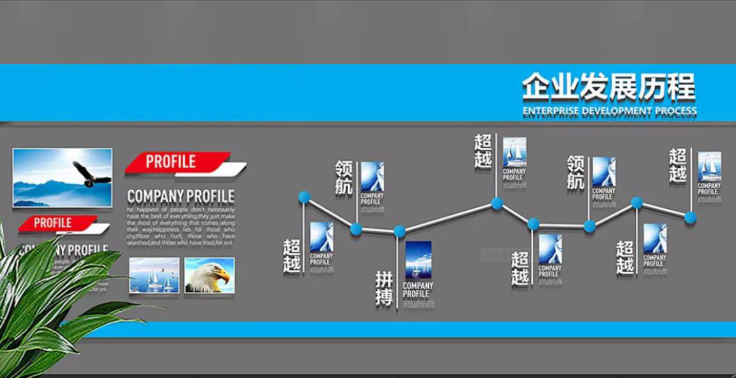 중국 HENAN TMS MACHINERY CO., LTD 회사 프로필
